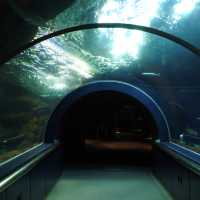 【新潟市水族館マリンピア日本海】