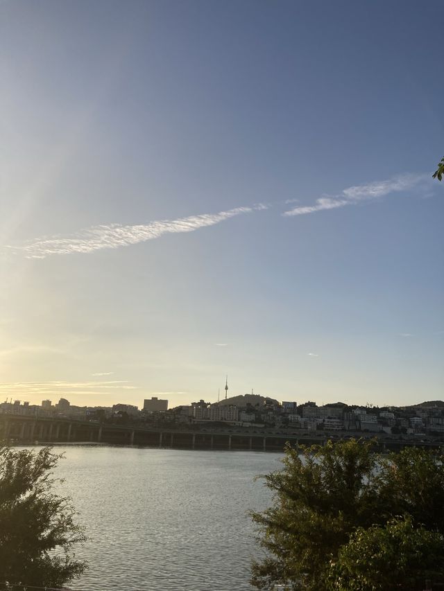 한강공원에서 피크닉하기⛱🧃