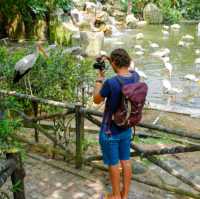 # Kl Bird Park