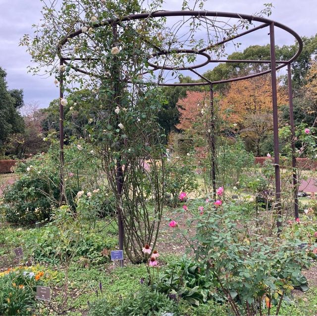 京都市　京都府立植物園