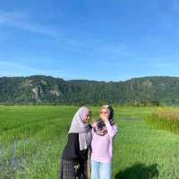 WARUNG TEPI SAWAH, PERLIS