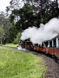 Melbourne's steam train! 🚂😍 @ Puffing Billy