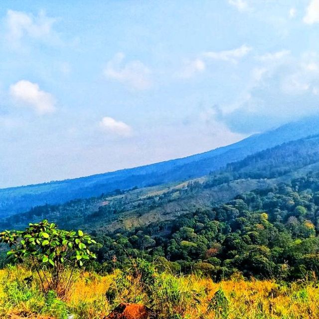 The Putuk Lesung Pasuruan