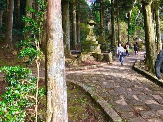 東京攻略 箱根站