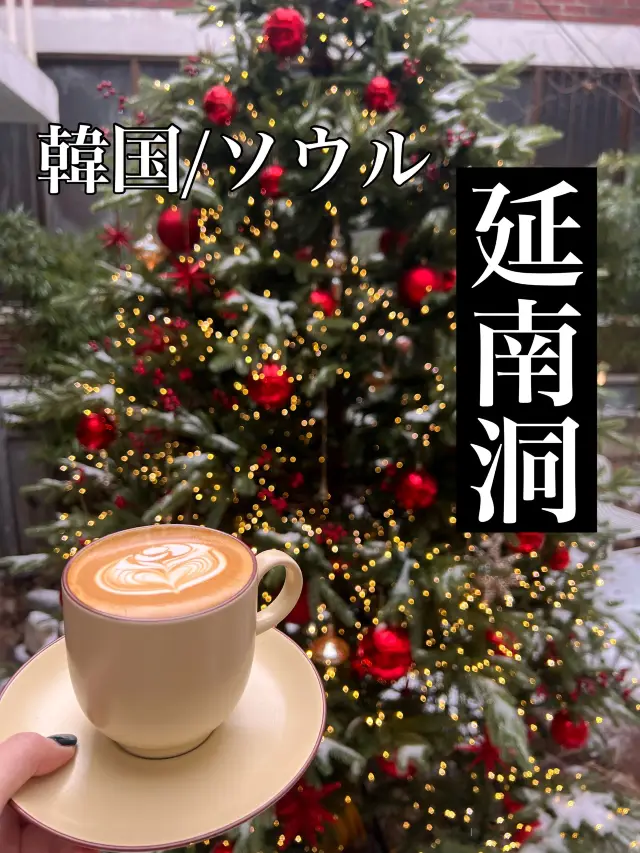 韓国/ソウル【延南洞】お庭に大きなクリスマスツリーが飾られる🎄一軒家カフェ☕️