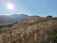 【秋冬賞芒系列~大東山🌾】