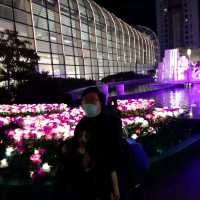 沙田新城市廣場有花燈海！