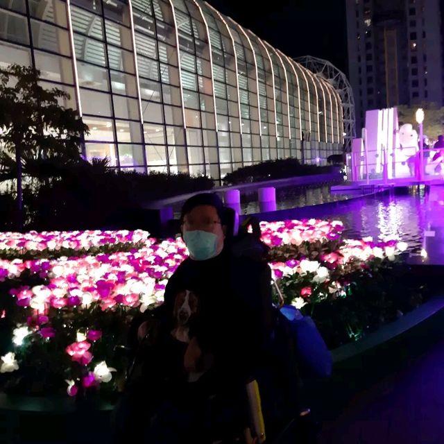沙田新城市廣場有花燈海！