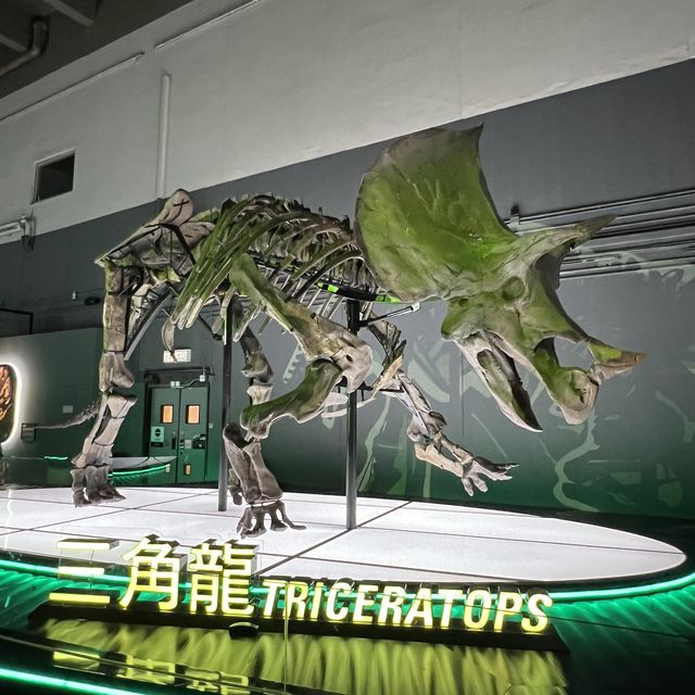 八大·尋龍🦖記