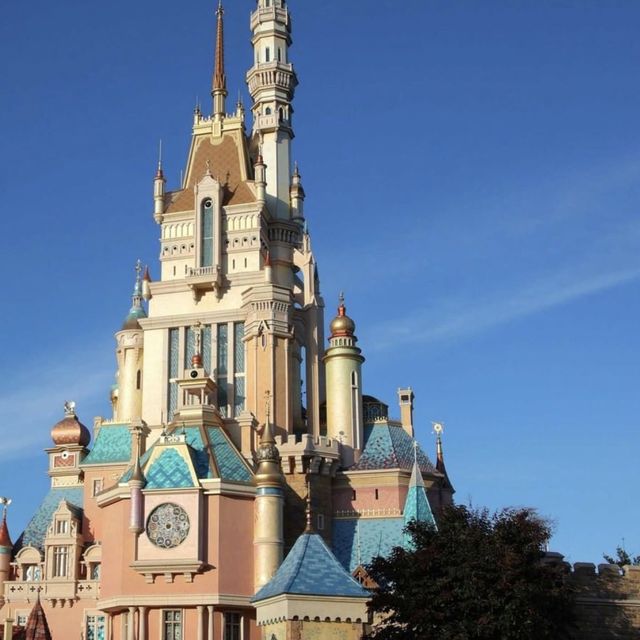 Happiest place on earth! 
