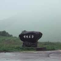 새별오름, 나홀로나무