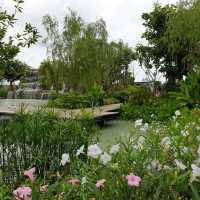 Avalon café&Restaurant คาเฟ่เก๋ พิษณุโลก