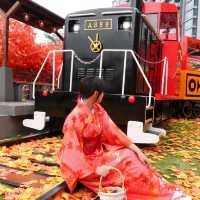 🍁紅葉旺季，人人都想「楓」🍁
