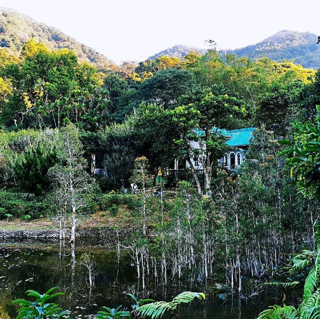大嶼山龍仔悟園