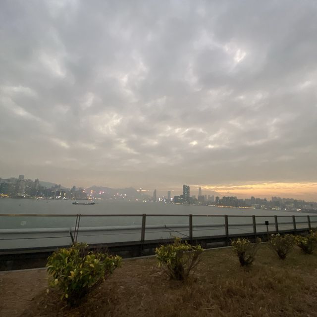 鬧市中的寧靜地方｜啟德跑道寵物共享公園