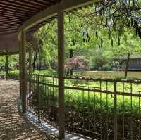 荔枝角公園