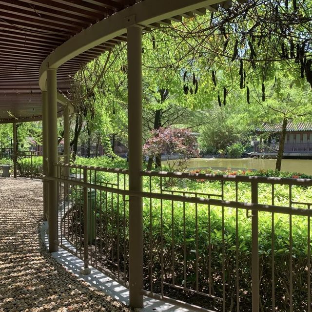 荔枝角公園
