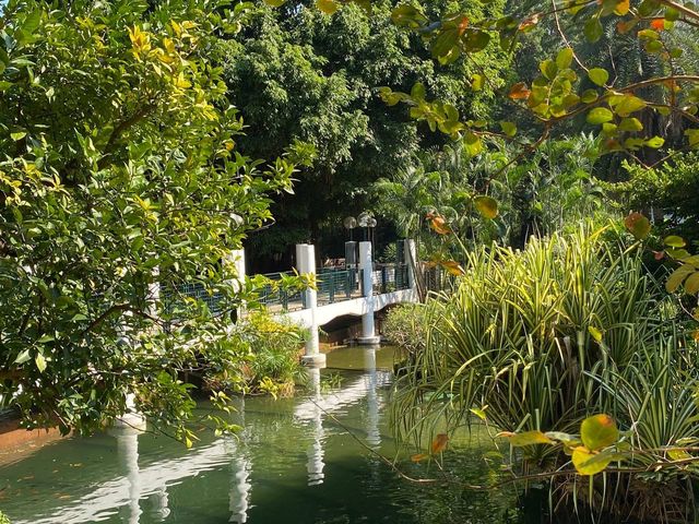 鳥湖@九龍公園