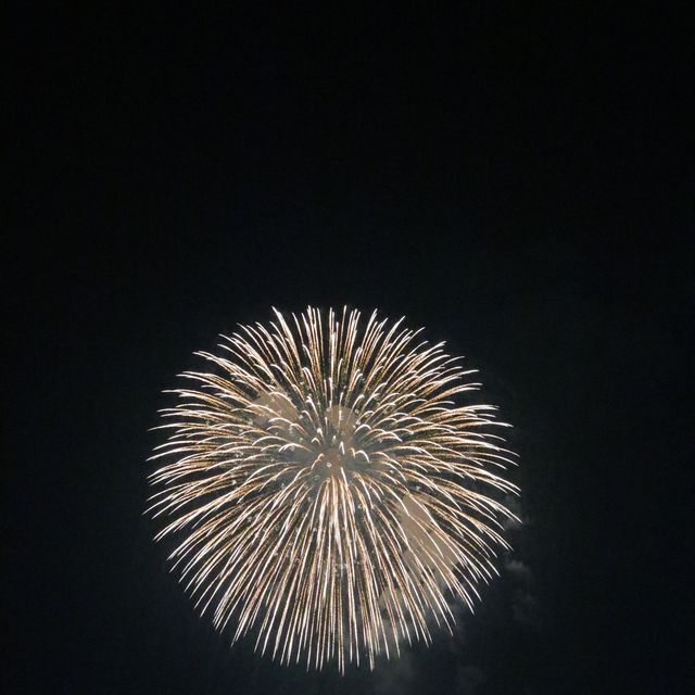 立川にある昭和記念公園 毎年行われる花火大会