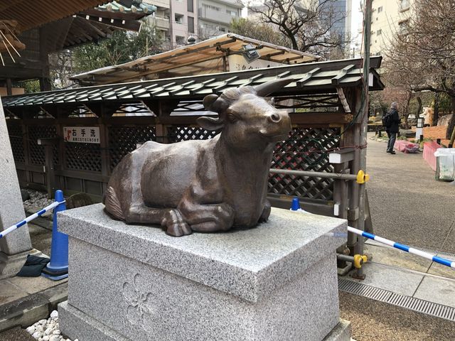 【東京】湯島天満宮 〜梅まつり(3/8まで)〜