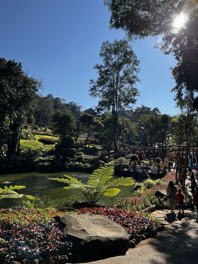 Doi Tung on January, 2022 