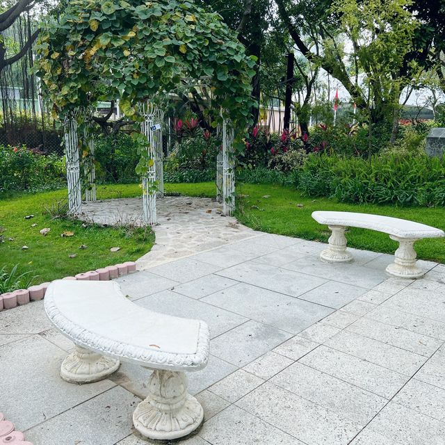 賞花攻略 大埔海濱公園