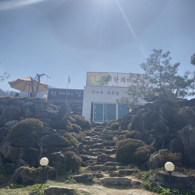 봄하면 미나리, 미나리하면 청도, 미나리는 삼겹살과 [한재마실]