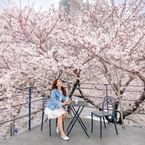 🌸지금 부산에서 젤 핫한 카페