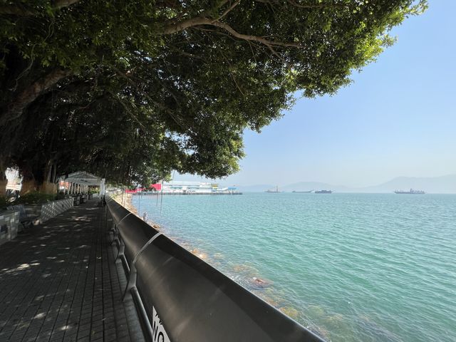 屯門海濱花園🌳