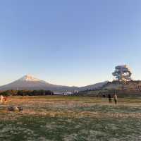 【富士山も一望できる】静岡・富士市で絶景初日の出を堪能した！