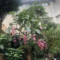 熱帶植物展覽館