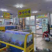 석이네 🐟 고성 봉포항 회센터 맛집