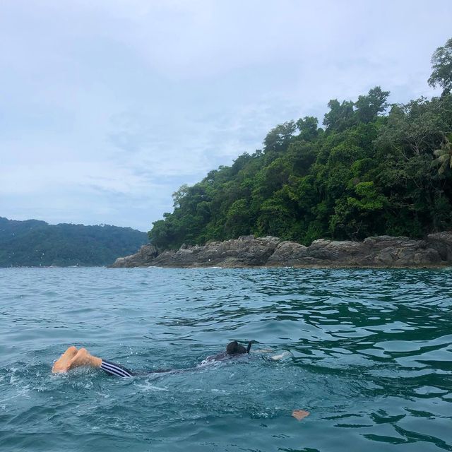 말레이시아의 보석같은 퍼런티안 섬에서의 3박 4일🛶