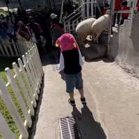 THE SHEEP SANCTUARY (Cameron Highlands)