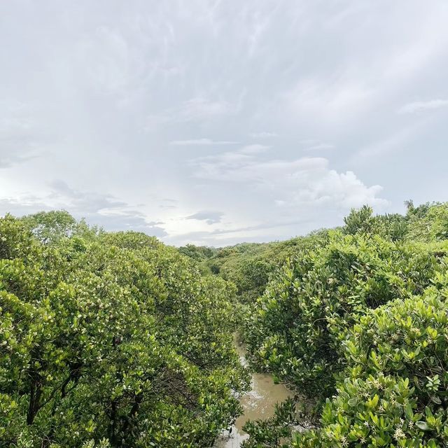 香港濕地公園