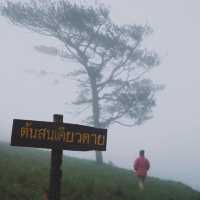 “ดอยหลวงตาก” ใครๆก็ค้องเคยไปที่นี่!!