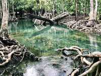 Pa Phru Tha Pom Khlong Song Nam ท่าปอมคลองสองน้ำ 