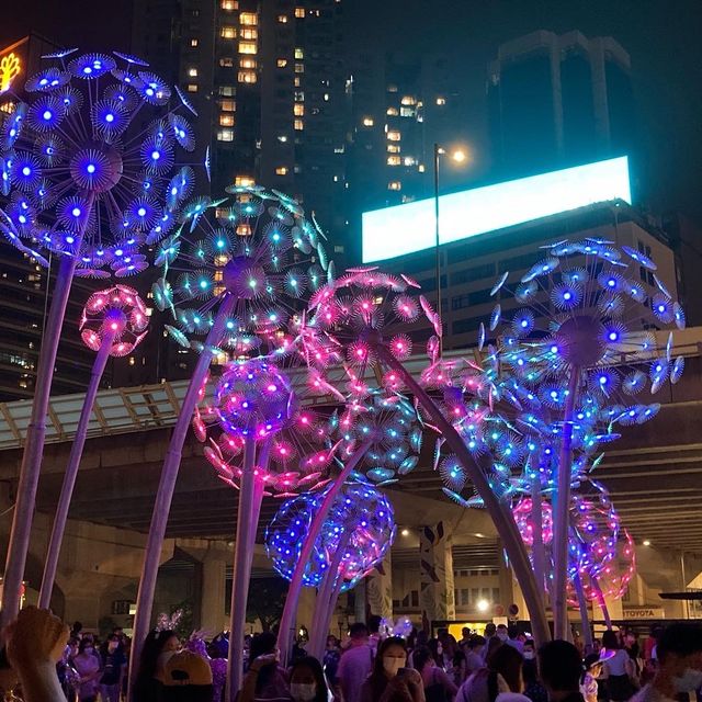 炮台山東岸公園花火祭