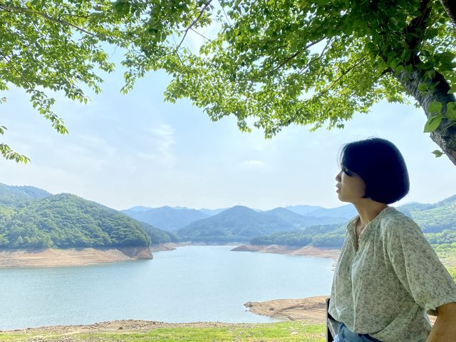 순천 인생샷 스팟 & 드라이브 코스로 추천 ‘상사호’