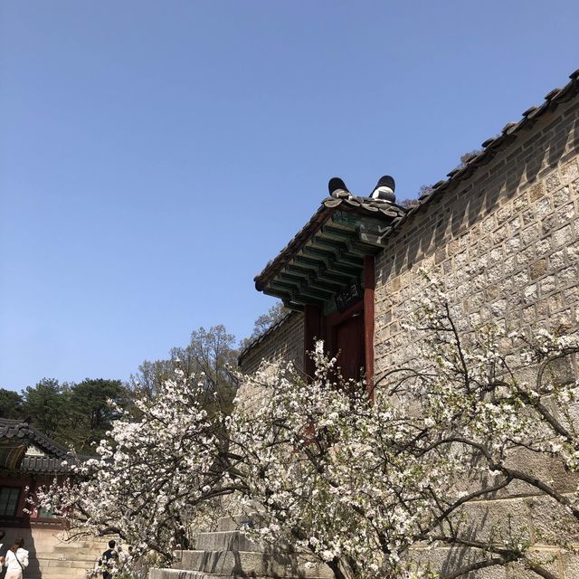 (창덕궁)힐링 여행
