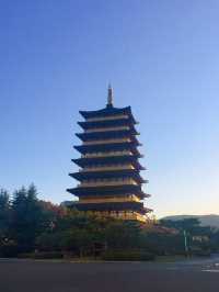 단풍구경은 여기서 하자 🍂경주 보문관광단지 