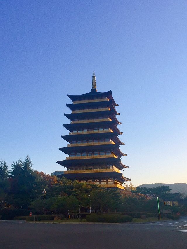 단풍구경은 여기서 하자 🍂경주 보문관광단지 