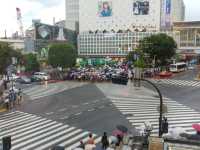 Shibuya crossing
