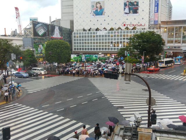 Shibuya crossing