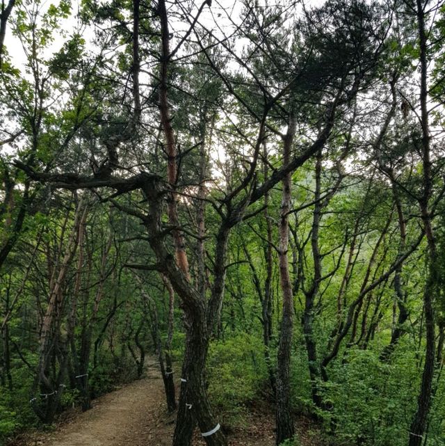 군포 수리산 피크닉
