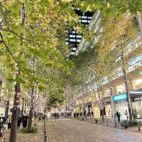 東京おすすめデートコース【丸の内イルミネーション2022🎄🌃】