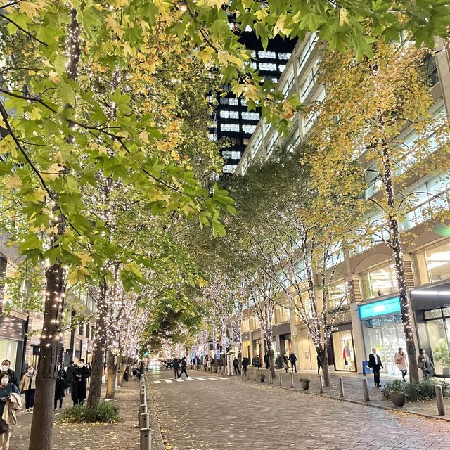東京おすすめデートコース【丸の内イルミネーション2022🎄🌃】