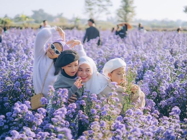 ชมสวนดอกไม้🌸🌼🌺เชียงใหม่