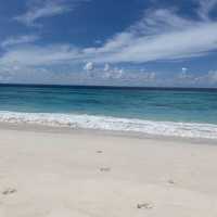 The Undisputed World Champion of Beaches 