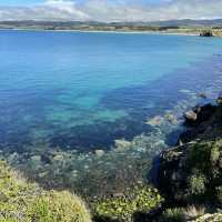 NZ 紐西蘭 南島 卡提奇燈塔 Katiki Point Lighthouse